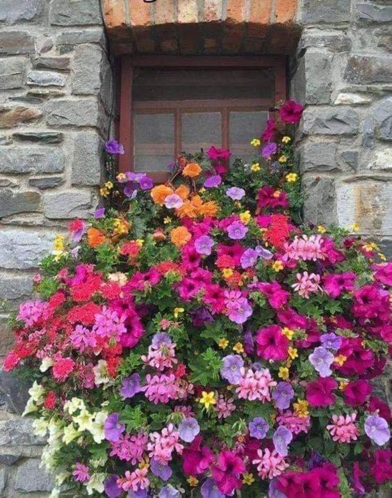 Guest house Da Annare